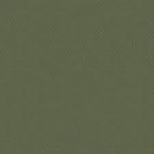 Undercap | Fern Green