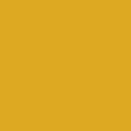 Undercap | Mustard